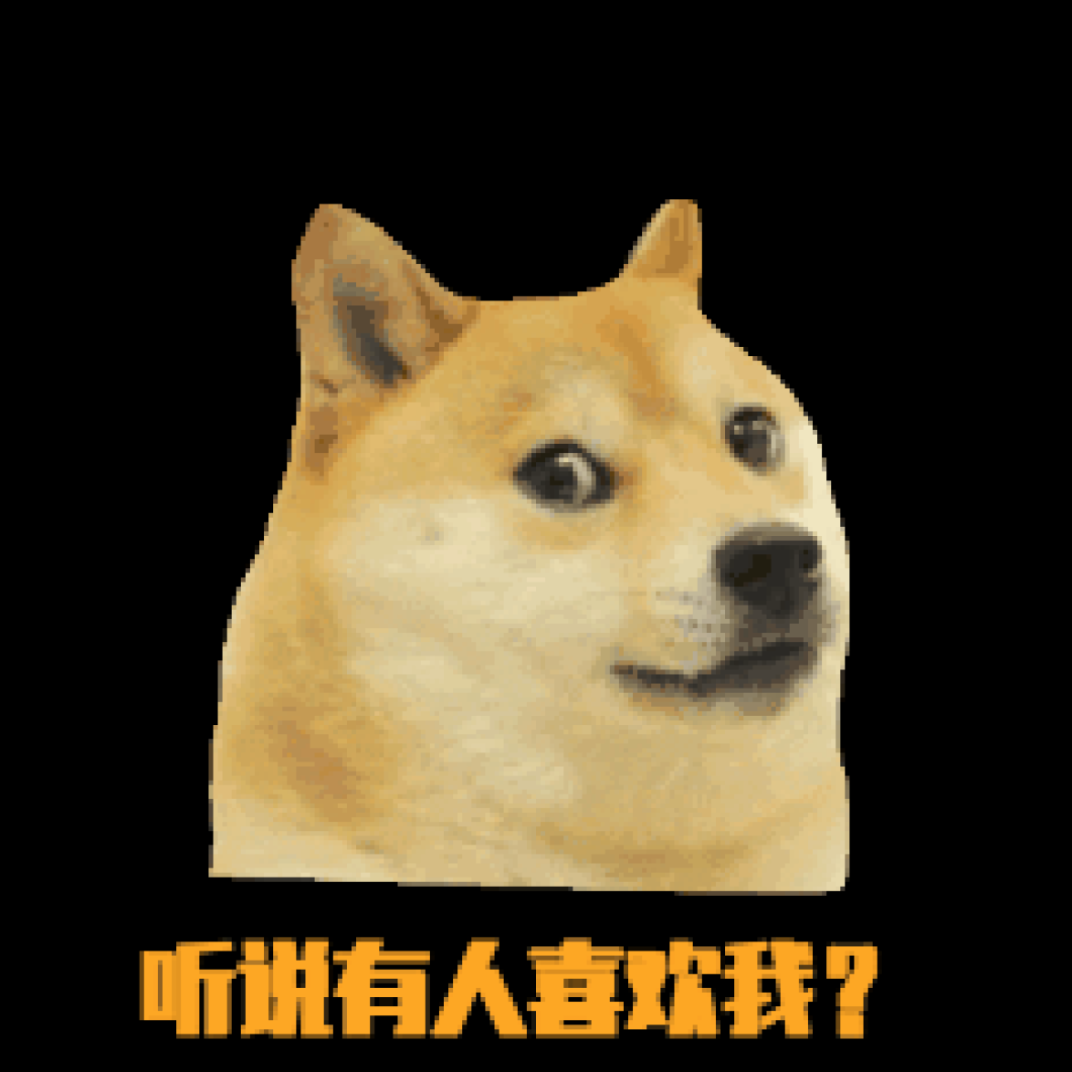 宅人日记