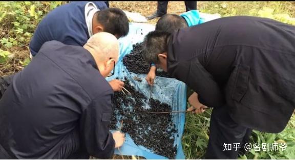 水井里的一堆白骨揭开八年前一段畸形的姑侄恋