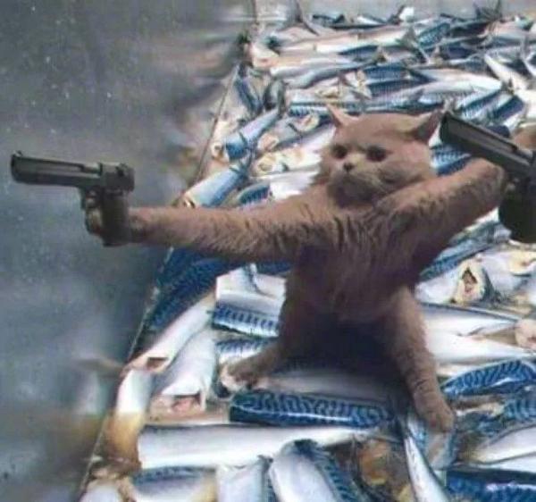 100 100