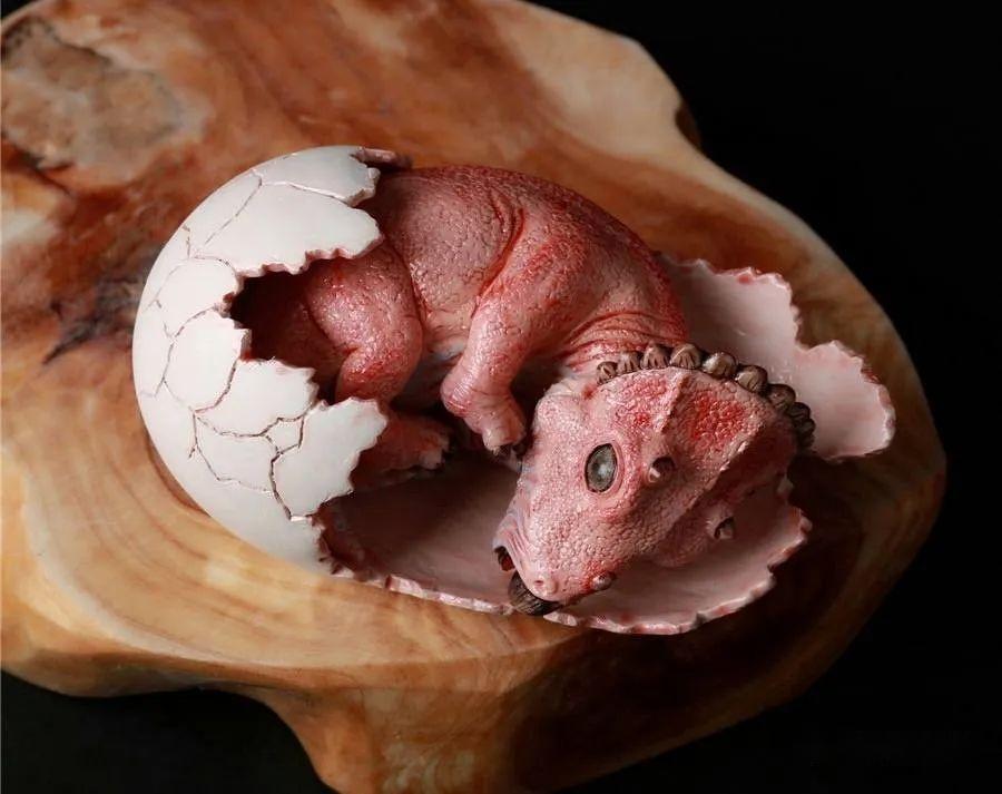 科学家发现古老恐龙肚脐化石恐龙肚脐在哪长啥样