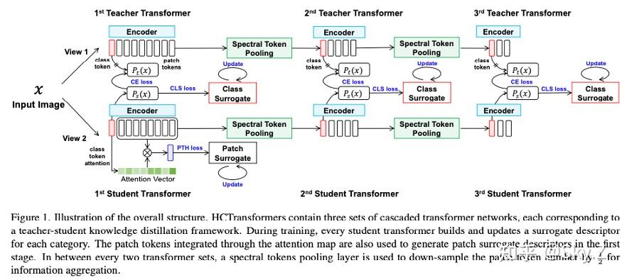 CVPR2022|论文笔记：HCTransformer - 知乎