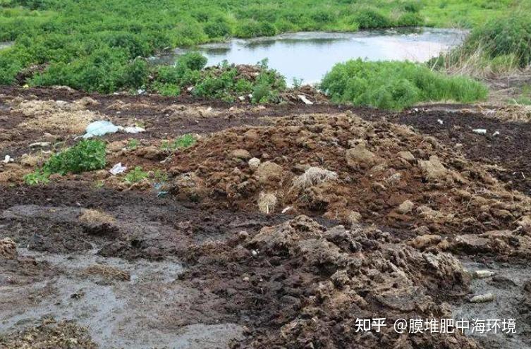 人人厌的“粪污”,如何变为人人夸的“肥料”? - 知乎