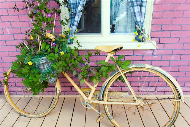 废旧的自行车都去哪了这样改造成自行车花园简直不要太美