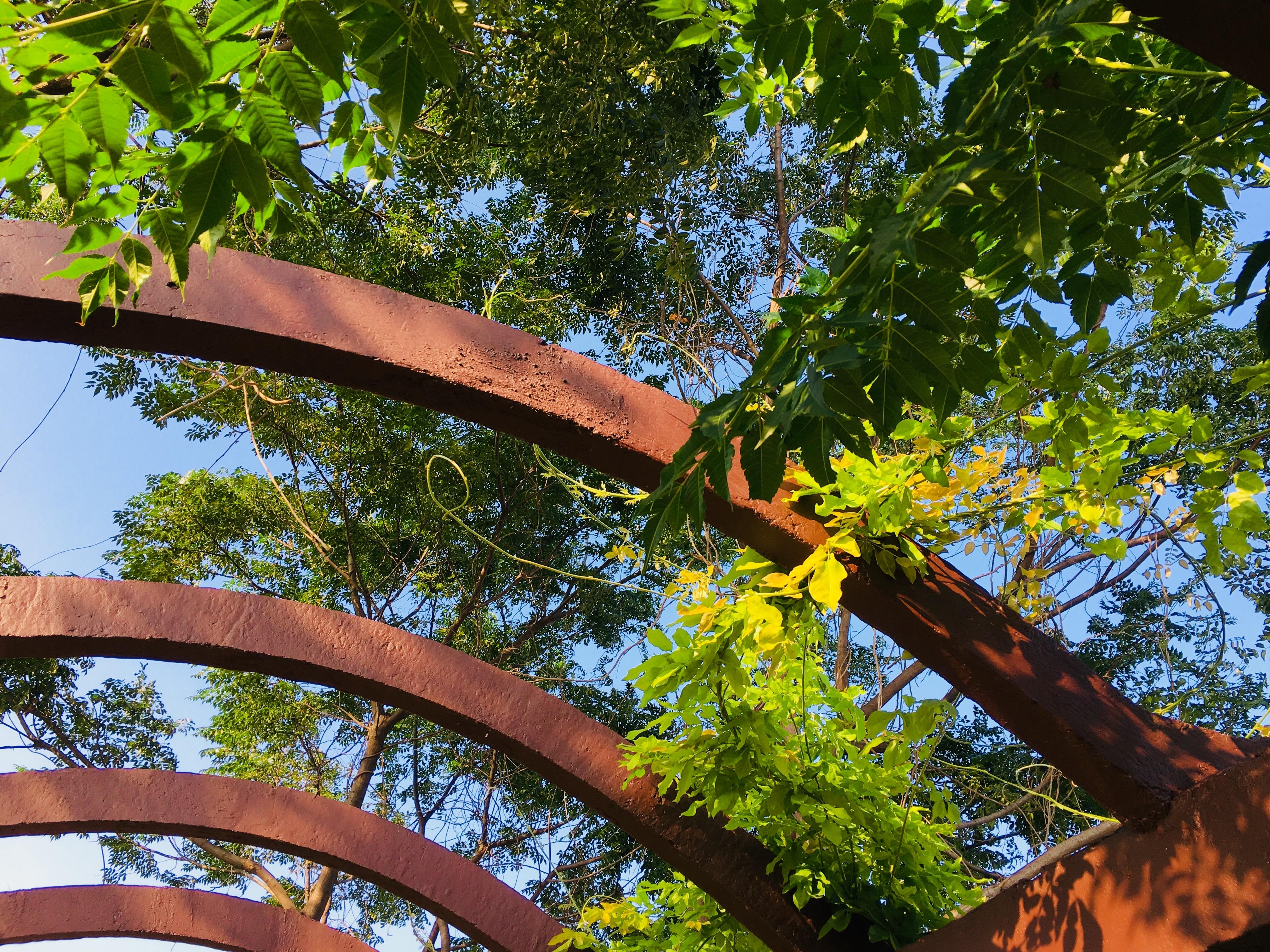 可以分享一张好看的夏天风景照吗