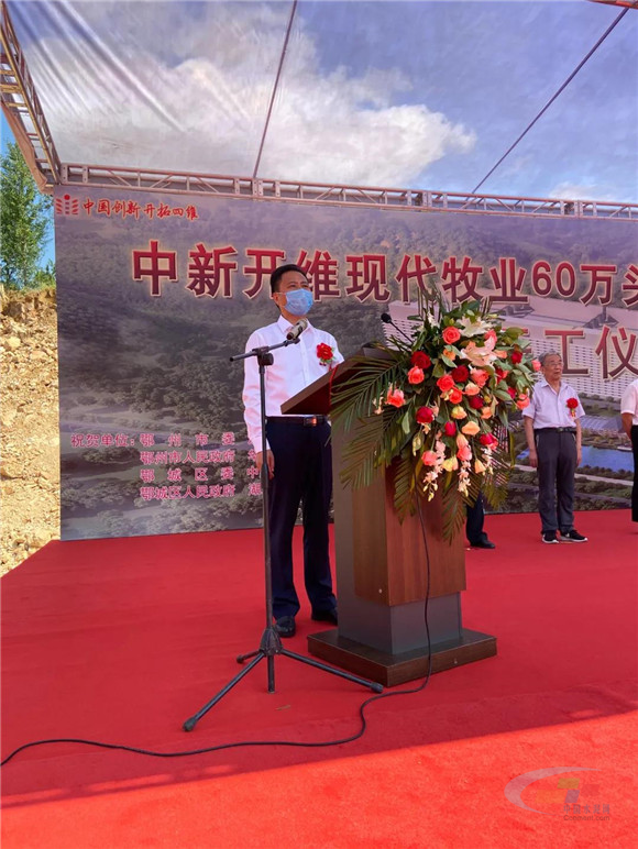 湖北世纪新峰雷山水泥厂区里办了养猪场