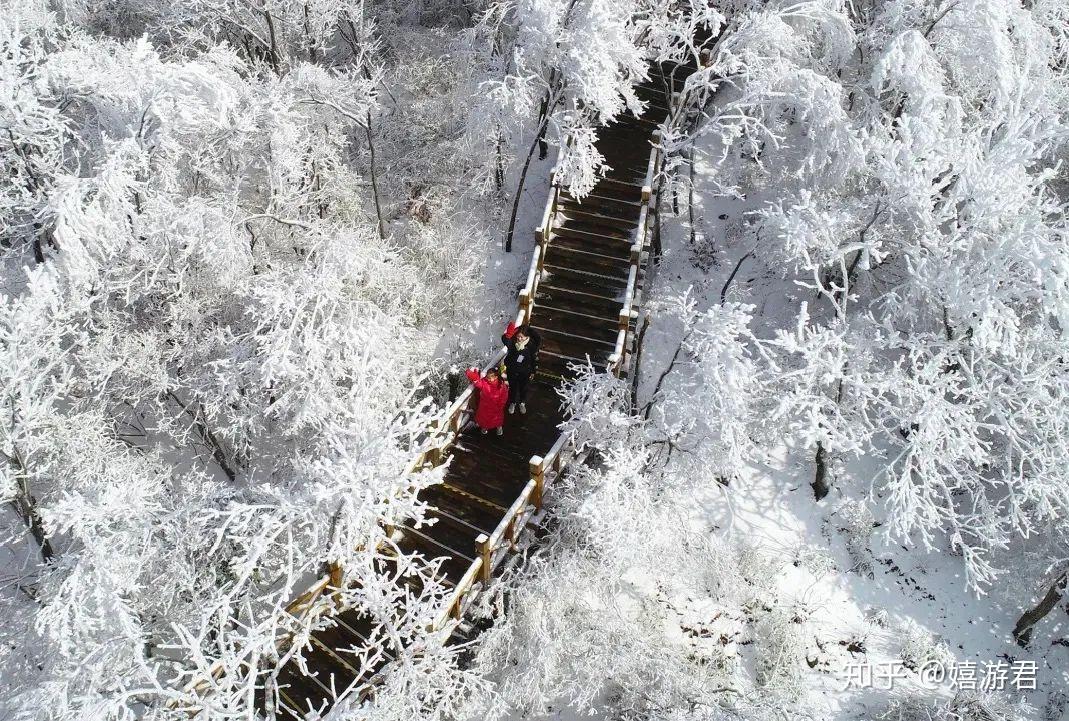 江浙沪滑雪场居然这么多?红黑榜看这篇就够了! - 知乎