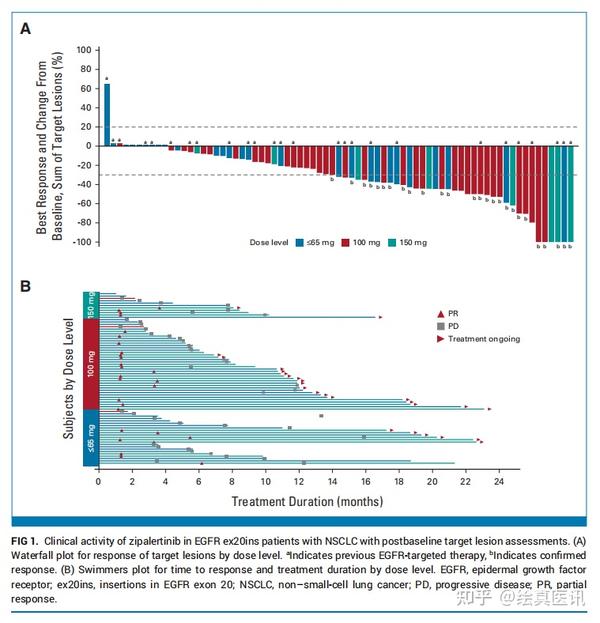 Zipalertinib Plus Chemotherapy Shows Six-Month Survival Benefit in Rare Lung Cancer