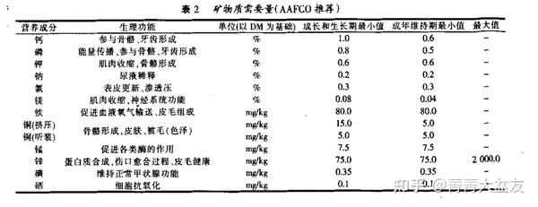 肉食动物_肉食男_肉食狗