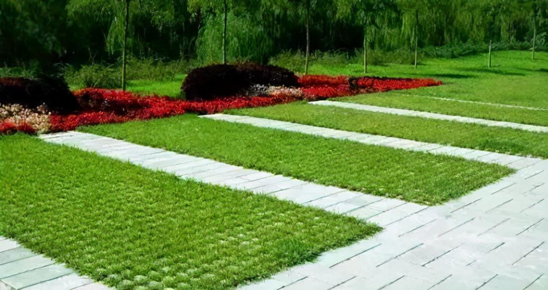 园路施工要点与施工工艺 - 知乎