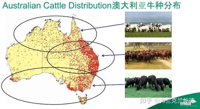 澳大利亚是畜牧业大国,有三分之二是农业土地,向100多个国家供应牛肉