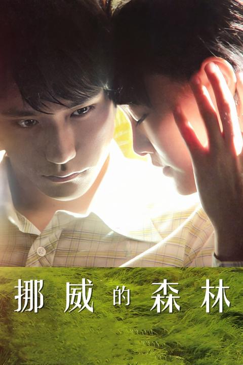 挪威的森林经典 知乎
