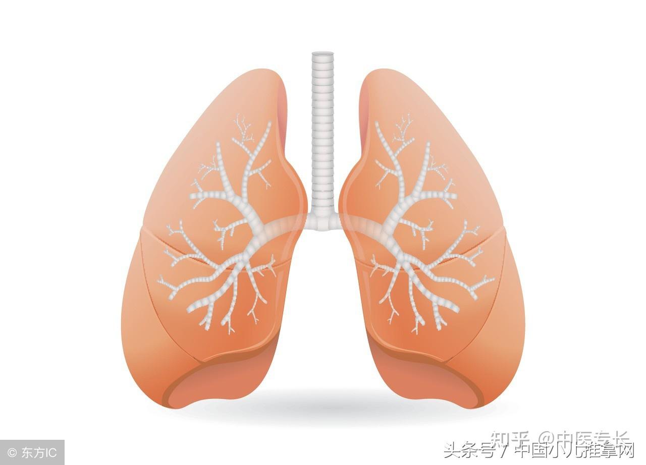 病例134 周围型肺癌(二)-特种医学-医学