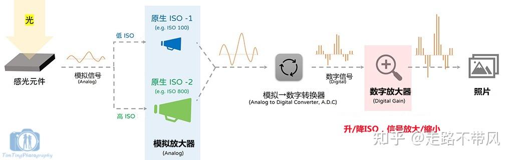 摄影基础入门：ISO感光度是什么？ISO越低画质越好吗？ - 知乎