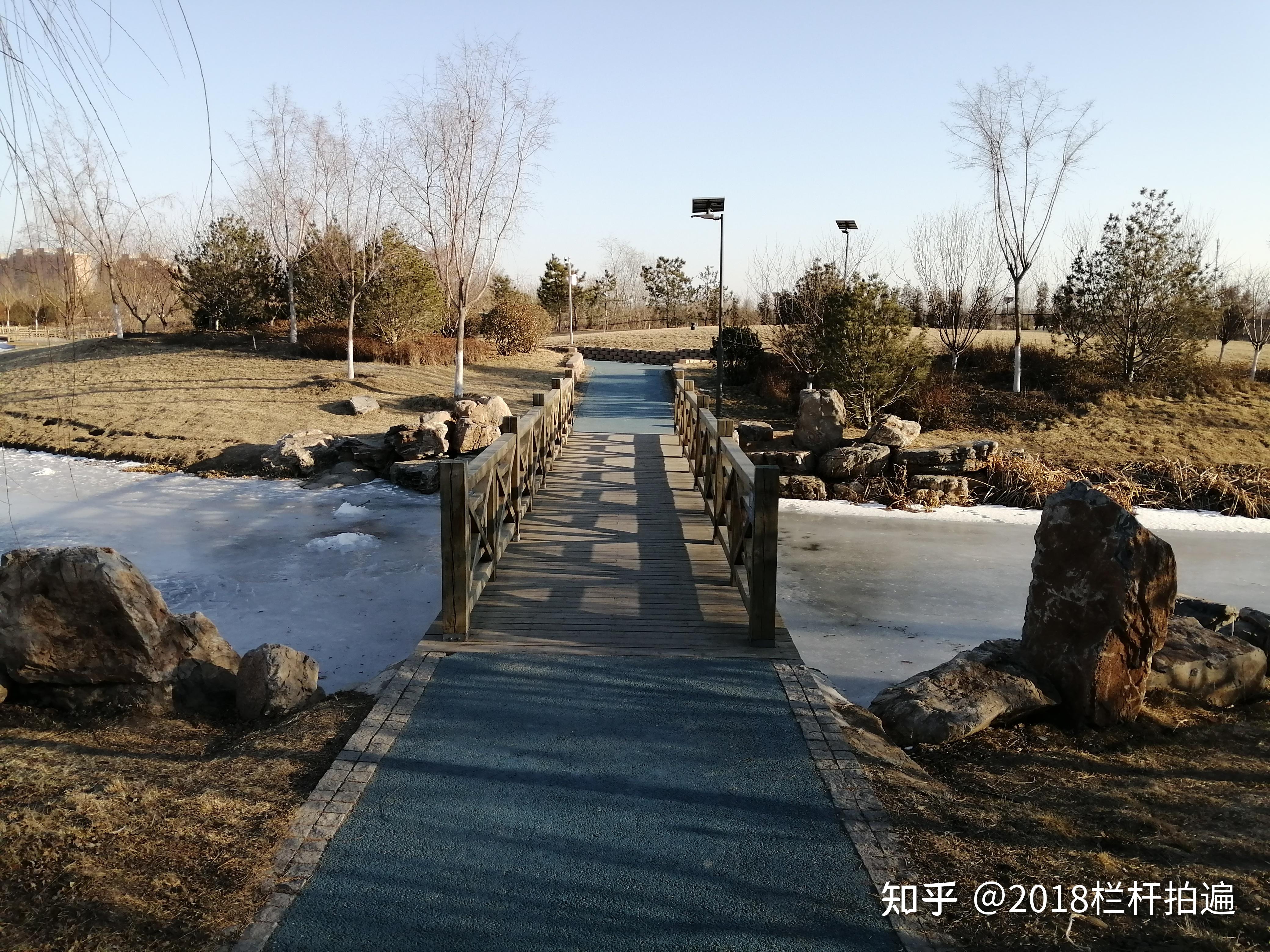 北京大兴新西凤渠湿地