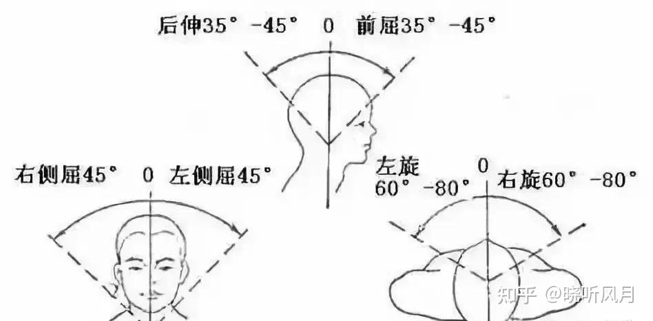 请问颈椎的前后左右的生理曲度是多少