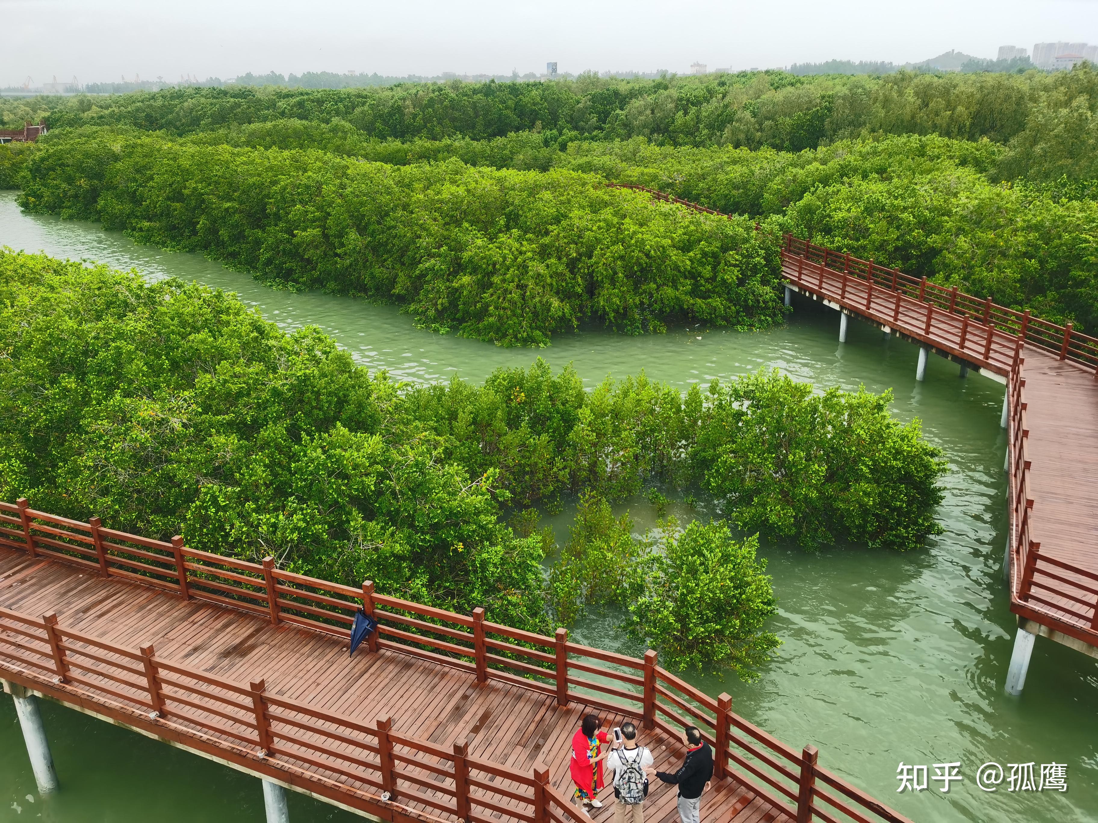 如果你不知道"南海旅游岛",不知道"华侨城",那你一定是不喜欢出门旅行