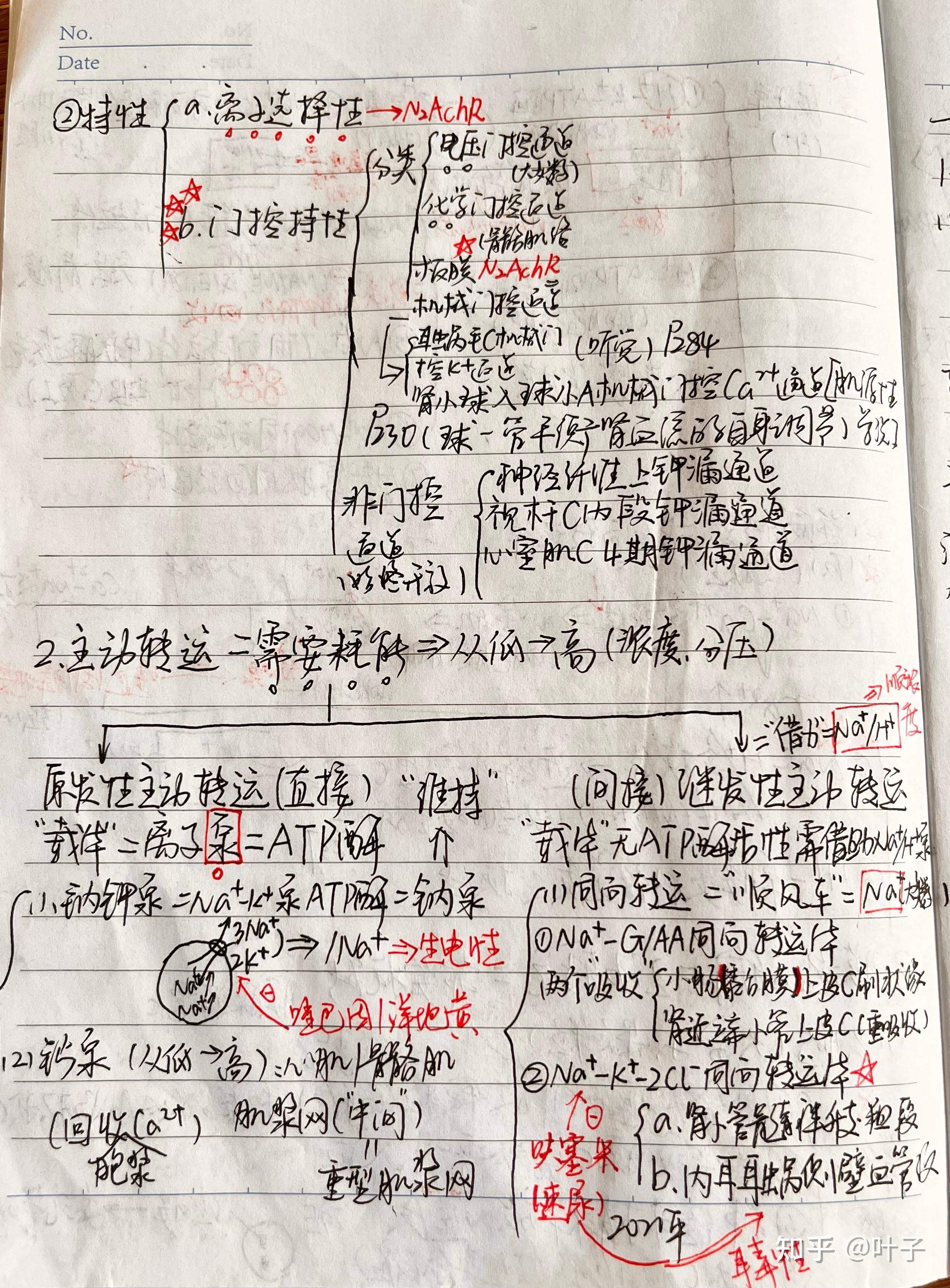 生理学手写笔记（超重点） 知乎 