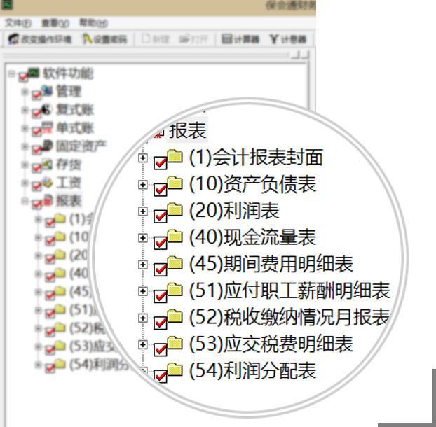 餐饮公司初创公司,用什么财务软件比较好?