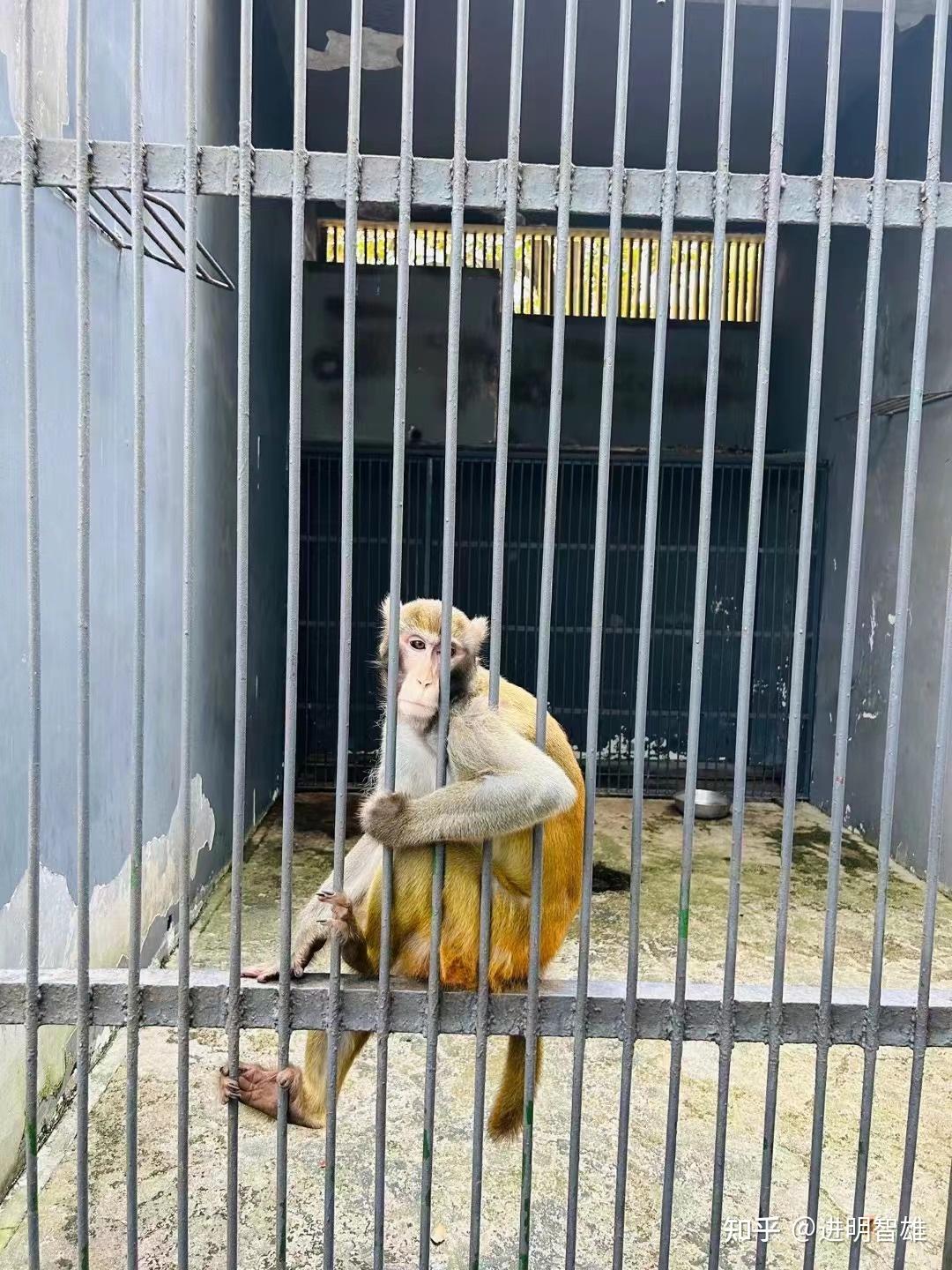 有必要去动物园看动物? - 知乎