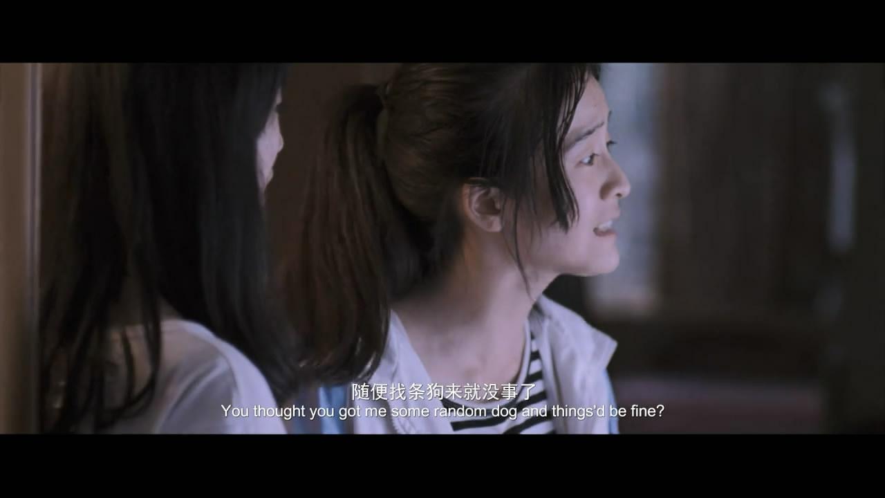 狗13》——当孩子们成长中的摩擦被逼作一场指鹿为马的拷问- 知乎