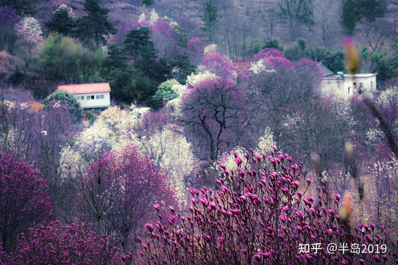 独山的由来 知乎