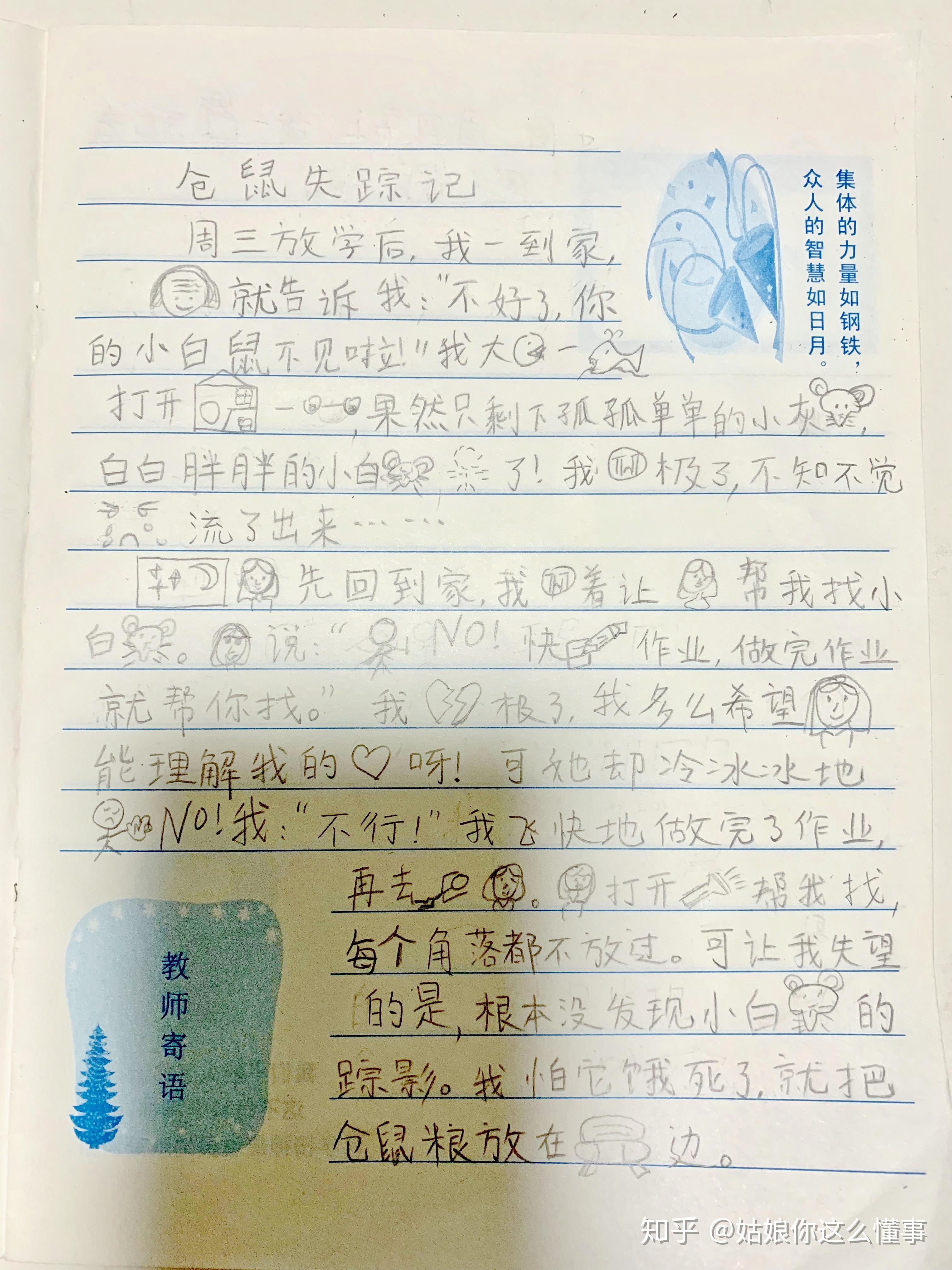 小學生作文一倉鼠失蹤記