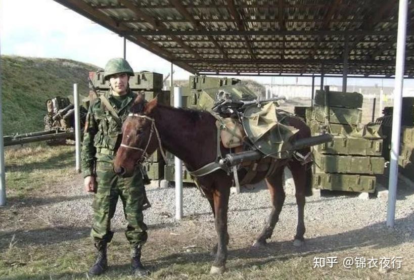 機槍淘汰騎兵別說騎馬騎犛牛水牛的都有盤點全球那些現役騎兵