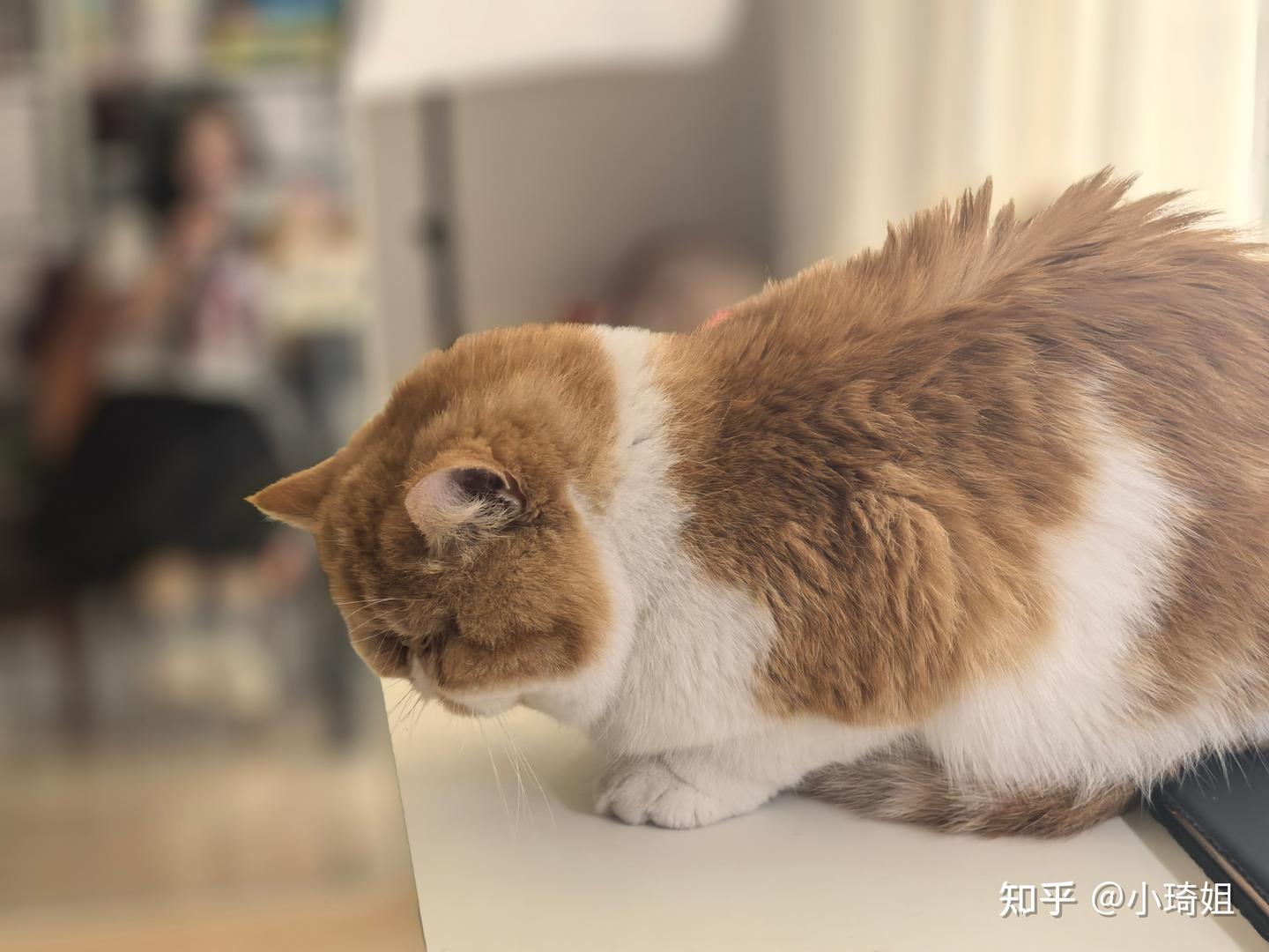 2026无线吸尘器推荐哪家好?内行人告诉你无线吸尘器哪个品牌好