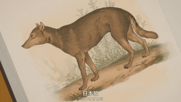 《北极百货店的接待员》7.6分我不服,这部电影被严重低估!
