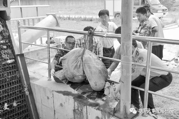 大案纪实污水池里的女尸