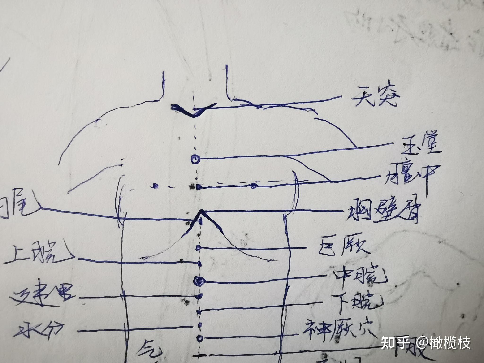 张紫阳八脉经图图片