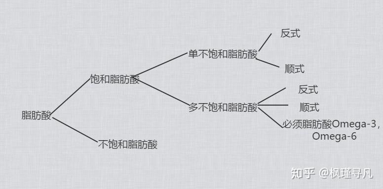 脂肪酸-甘油三酯