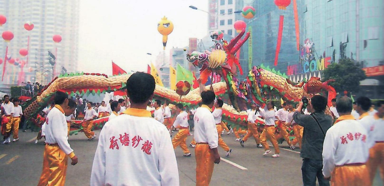 一篇读懂（广东南拳非遗）广东南拳名家套路 第7张