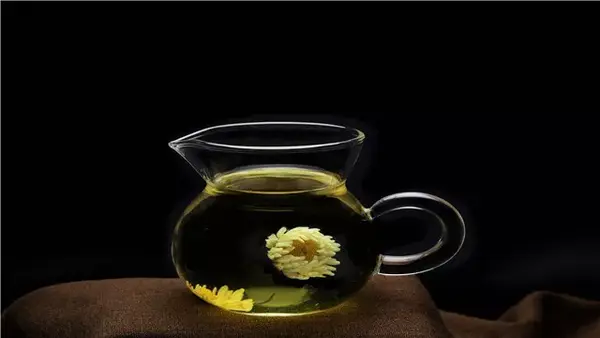 菊花是个宝 关键看你用不用的好 知乎