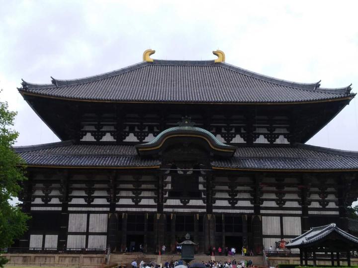 到奈良东大寺就只看大佛吗 日本景点解说 知乎 到奈良东大寺就只看大佛吗 日本景点解说 知乎