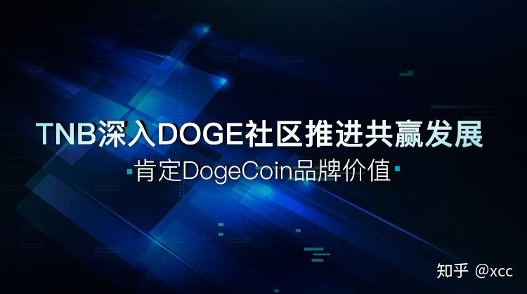 tnb高级顾问季小武成功当选doge社区决策委员