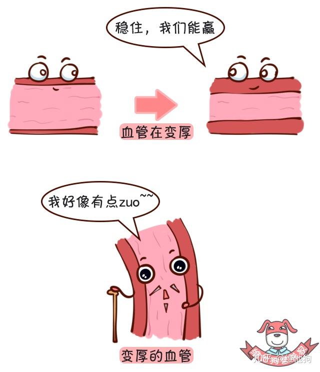 高血压认知2 高血压认知2