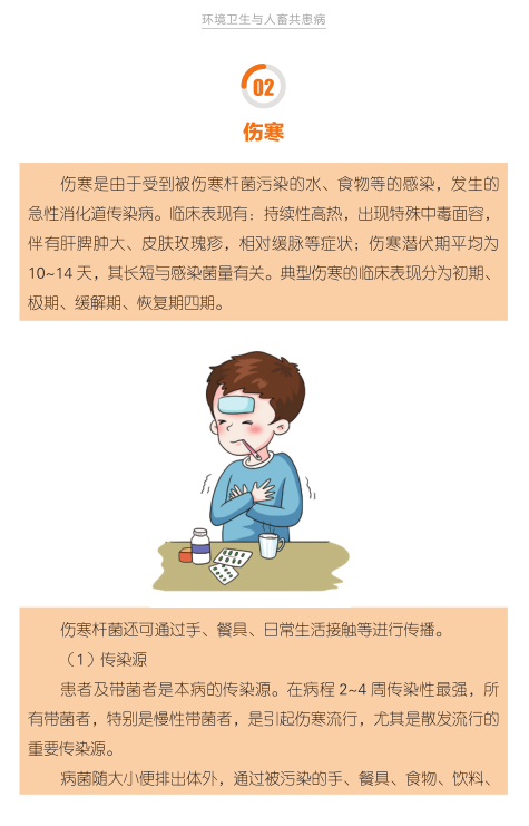 健康生活方式丛书丨与环境卫生有关的疾病——伤寒