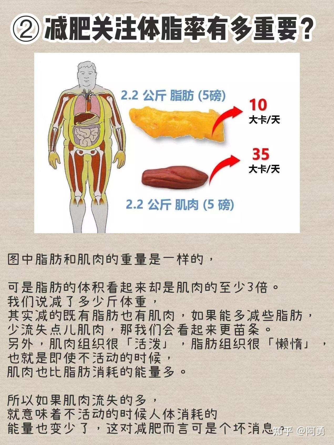 体脂率的几个问题我们都得知道的答案