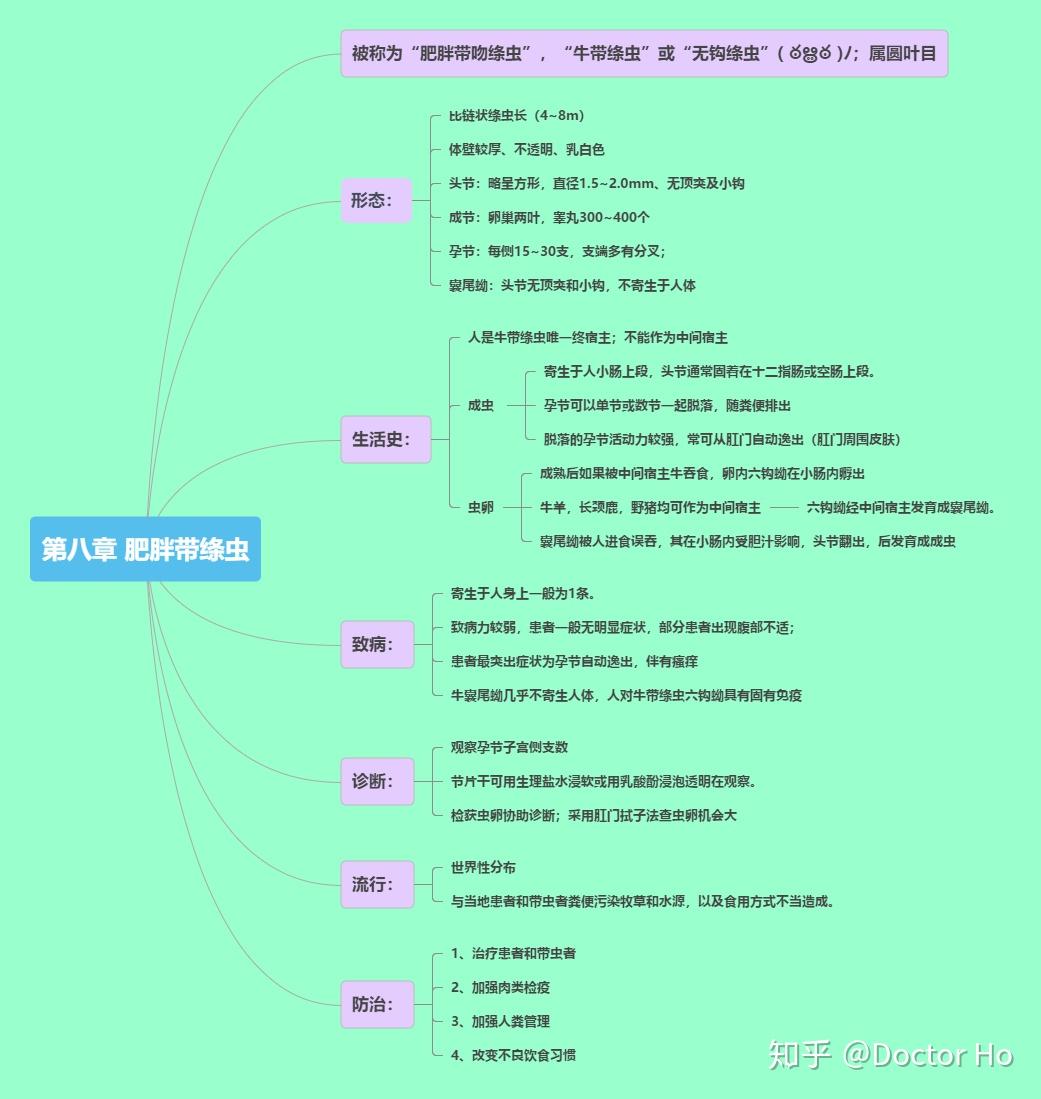 医学寄生虫学第五版思维导图