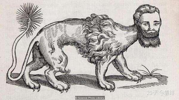 人头狮身蝎尾兽manticore