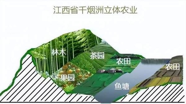 十八种农业类型,你想了解的都在这里 - 知乎