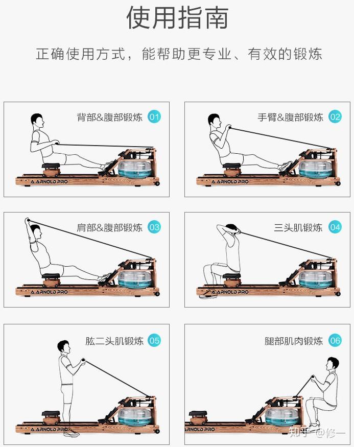 aarnold划船机训练要点