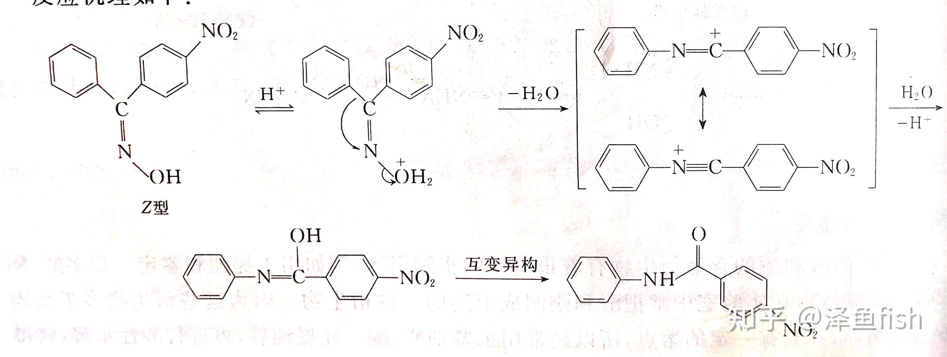 的加成)水和醇都是親核試劑,它們與羰基加成分別生成偕二醇和縮醛/酮