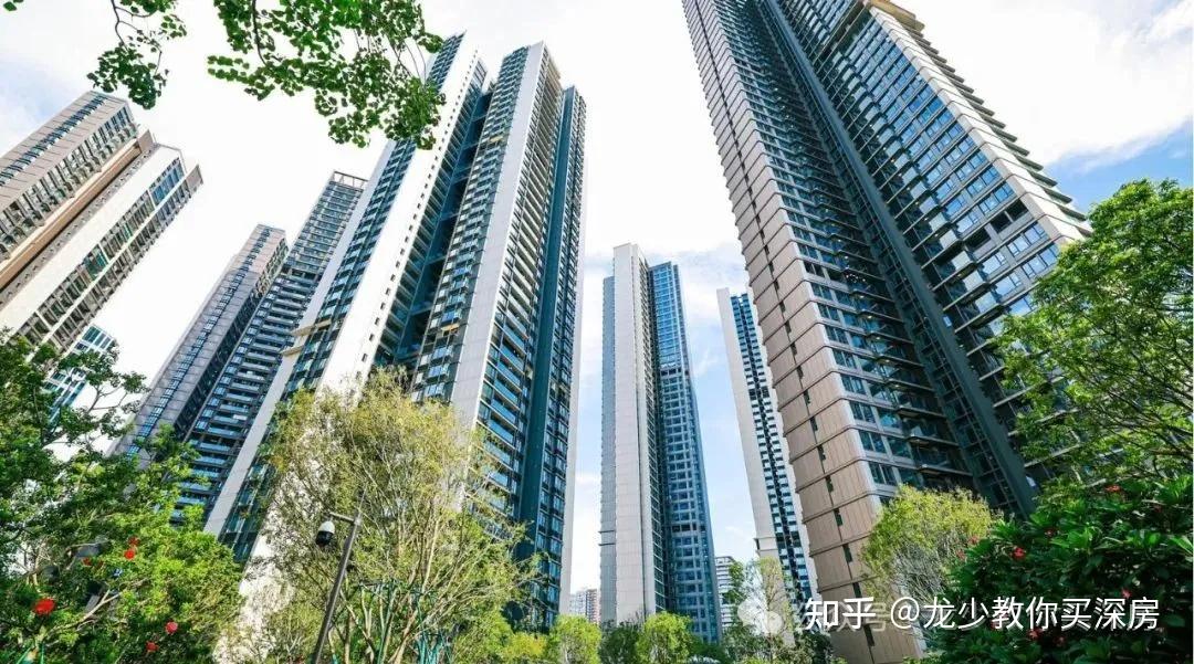 前海新地王隔壁!交付即升值【深业云海湾】深度楼评! - 知乎