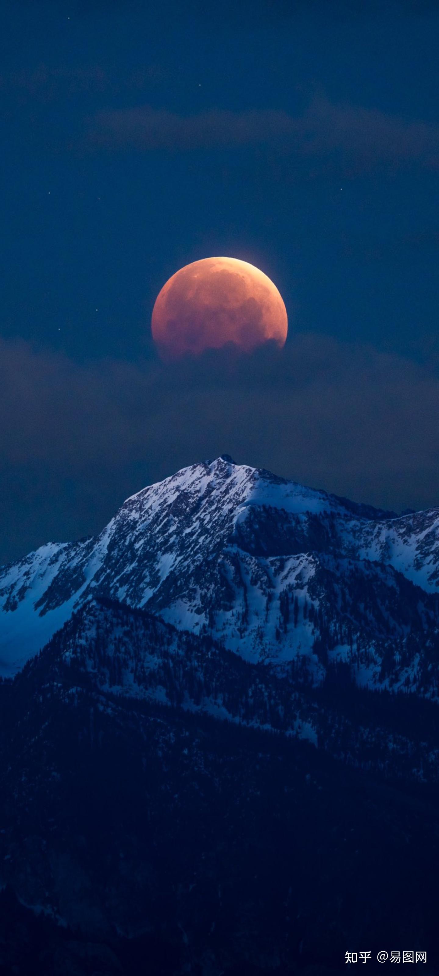 1440_3200竖版 竖屏