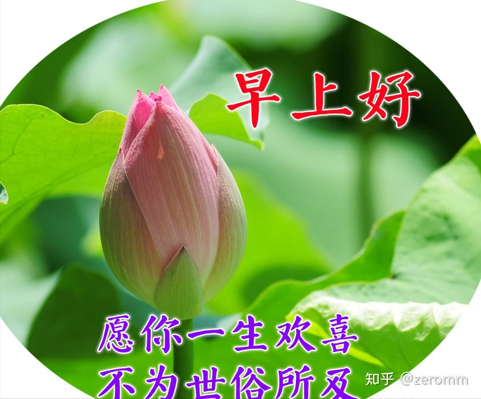 阳光暖心的清晨早安祝福语发朋友