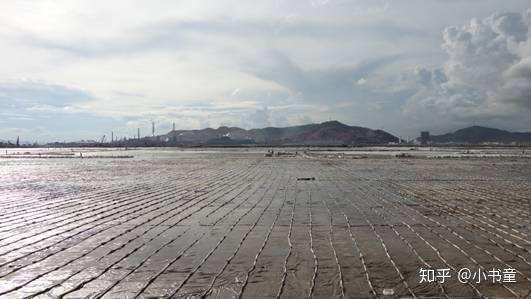 淤泥和淤泥质土的总称,是在静水或非常缓慢的流水环境中沉积,并且经过