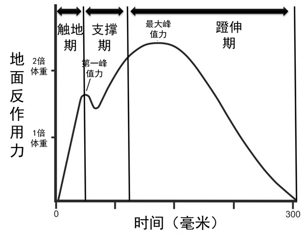 首次面向大眾跑者的高精度測試揭秘這個最重要的跑步指標 - 知乎