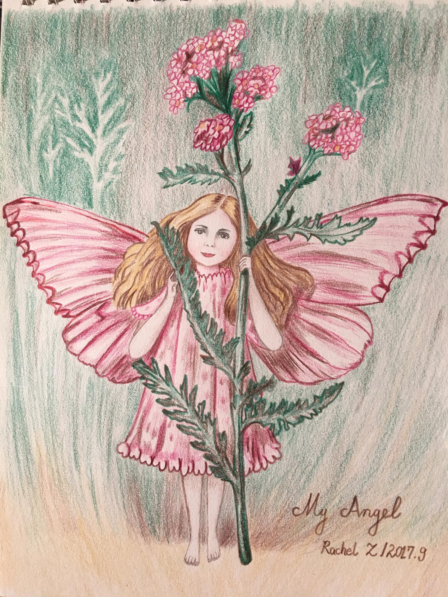 零基础彩铅画教程花仙子